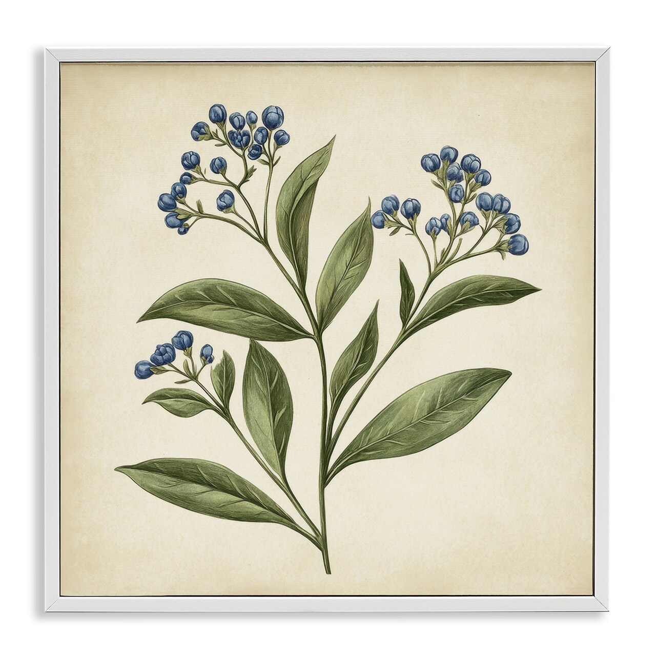 Stupell Industries Blue Buds Botanical Illustration Framed Giclee, design by Petal Prints Design